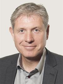 Michael Bladsgaard Larsen, Erhvervsrådgiver